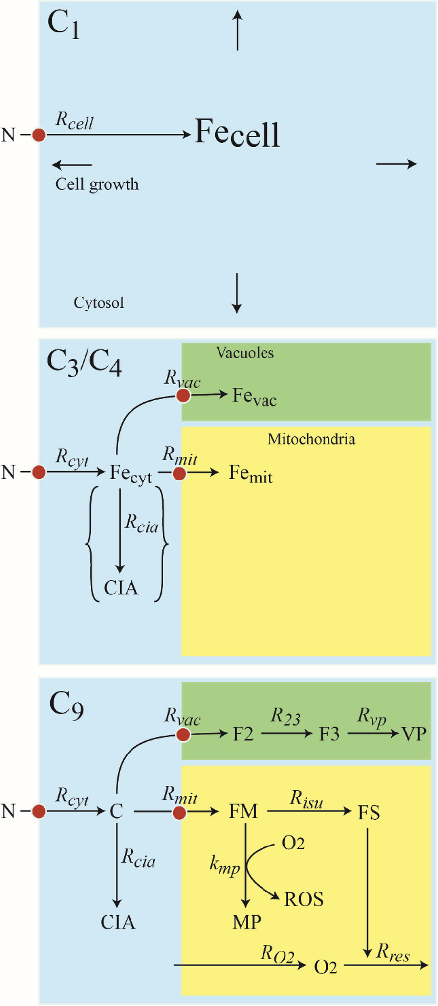 Fig. 1