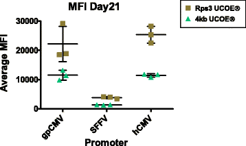 Fig. 1 (abstract P-247).