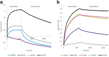 Fig. 1 (abstract P-286).