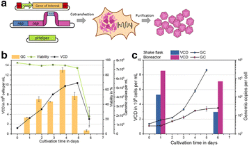 Fig. 1 (abstract P-349).