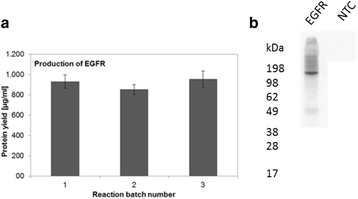 Fig. 1 (abstract P-366).