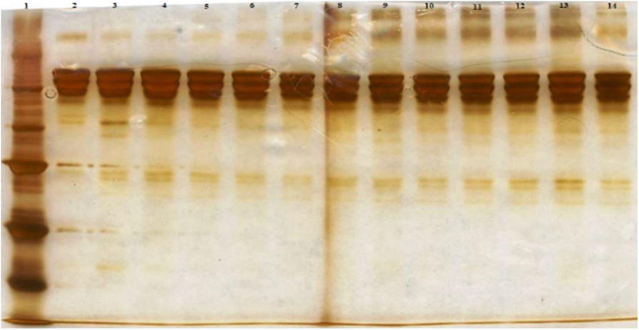 Fig. 1 (abstract P-512).