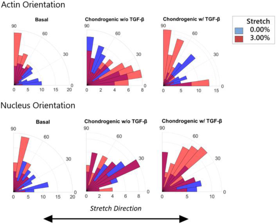 Fig. 2 (abstract A07).