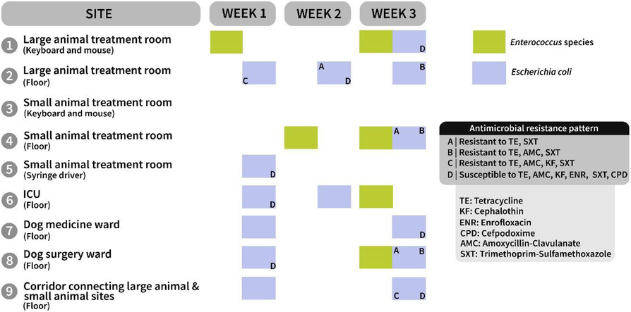 Fig. 2 (abstract A16)