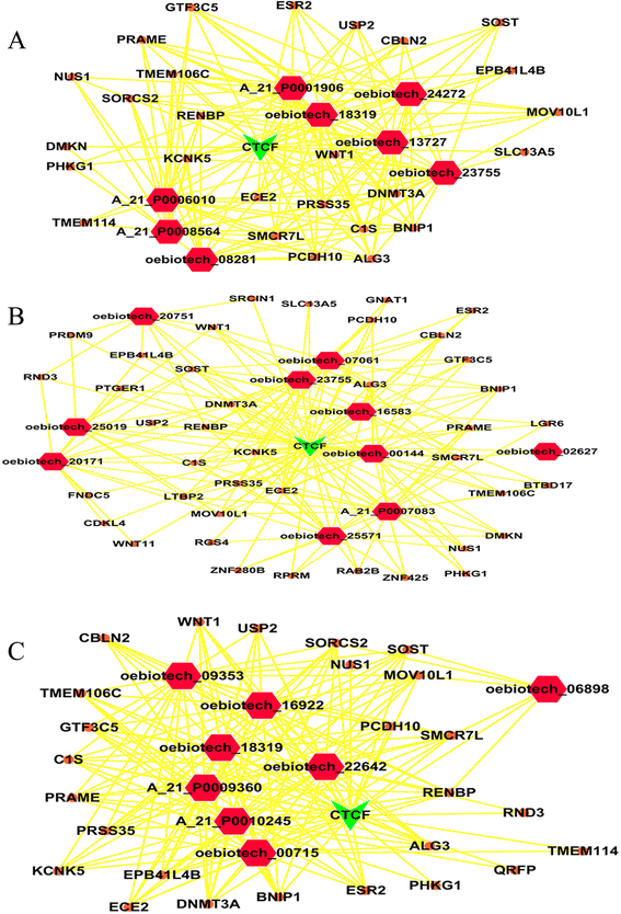 Figure 6