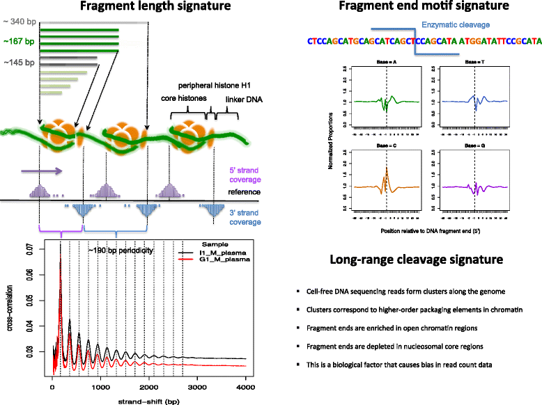 Fig. 10