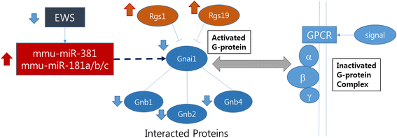 Fig. 7