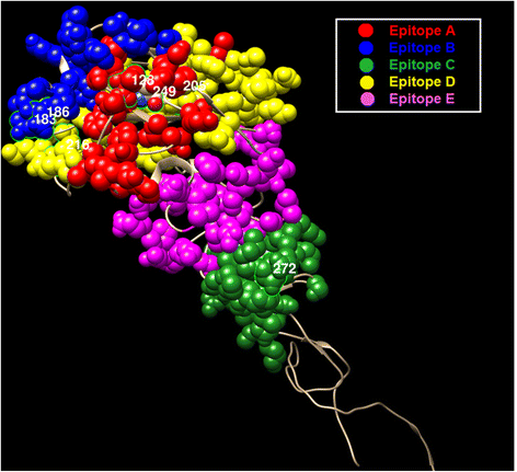 Fig. 7