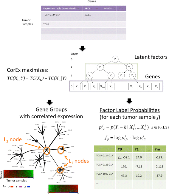 Fig. 2