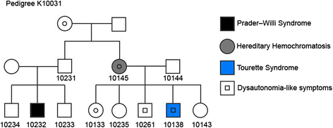 Fig. 1