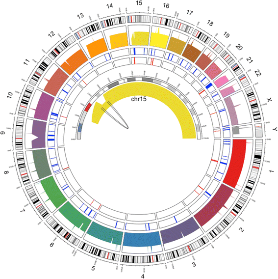 Fig. 3