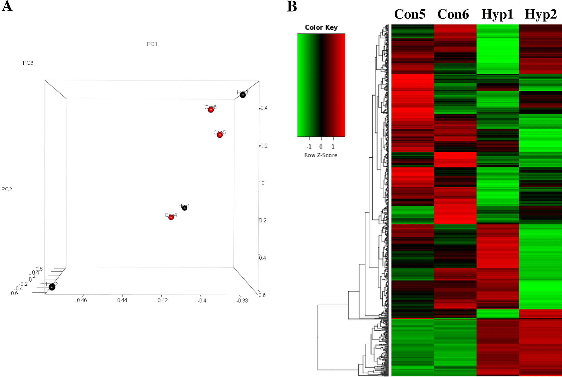 Fig. 2