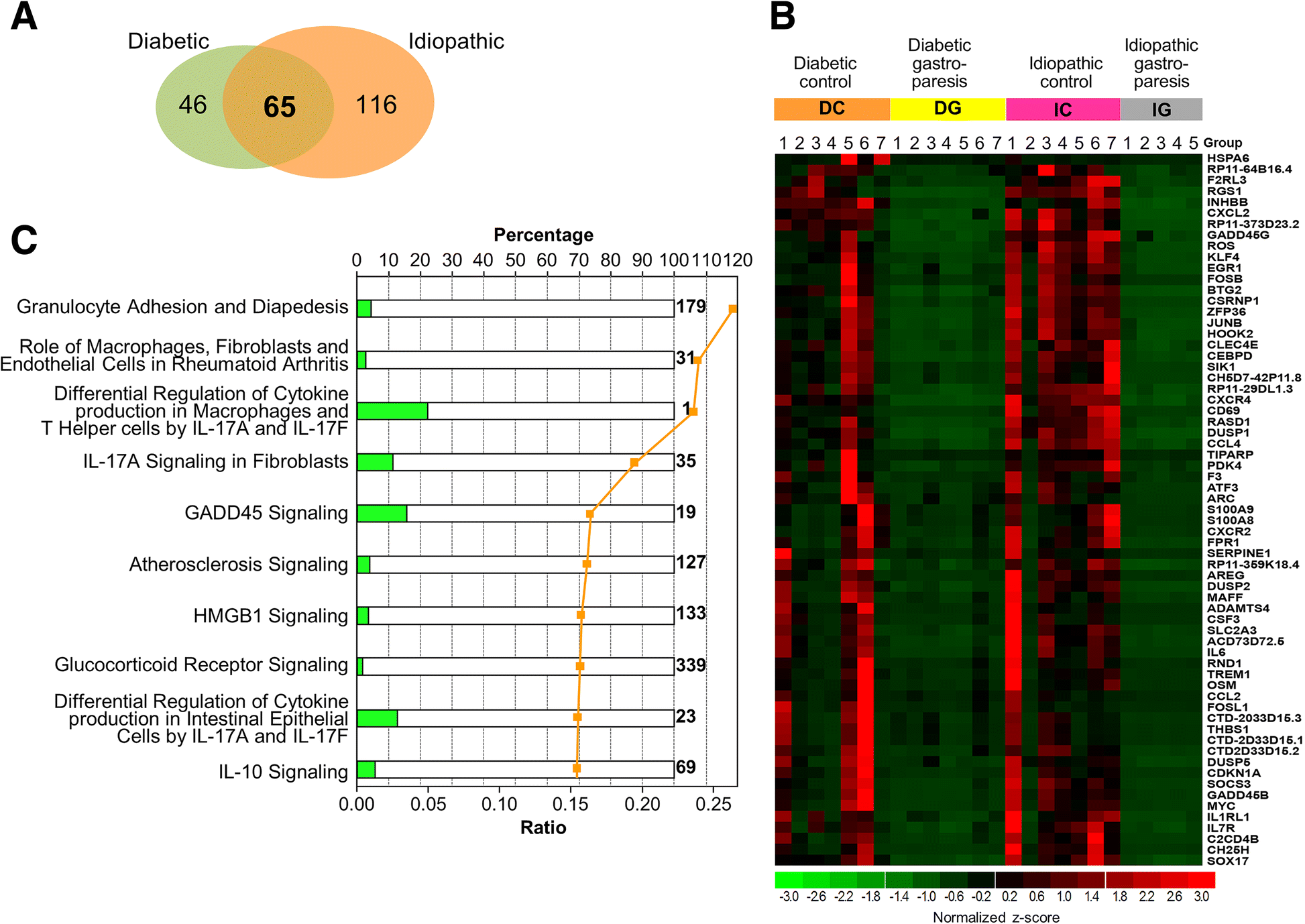 Fig. 2