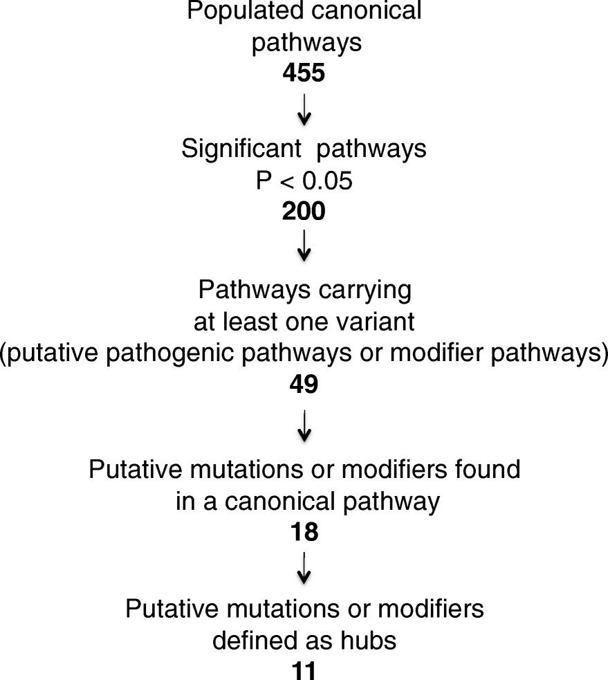 Fig. 11