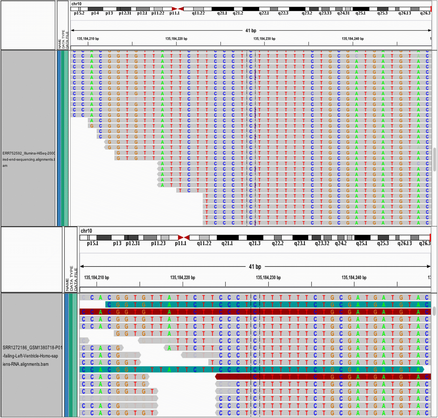 Fig. 12