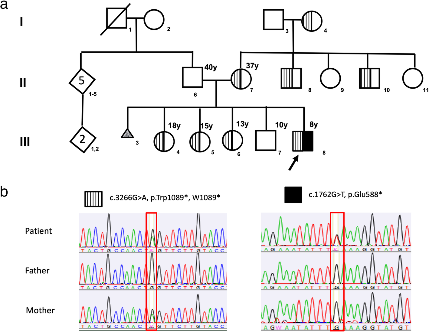 Fig. 1