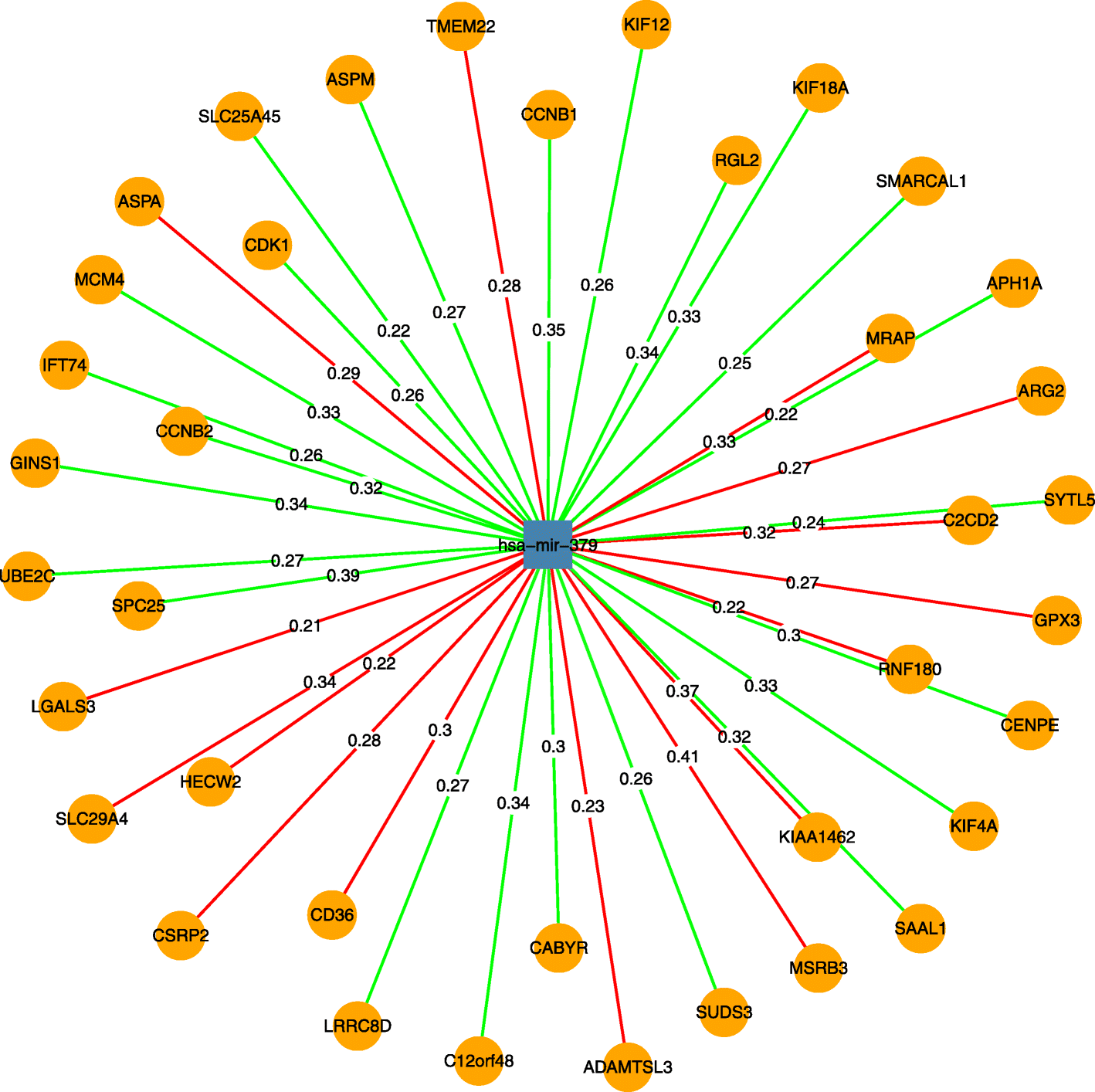 Fig. 19