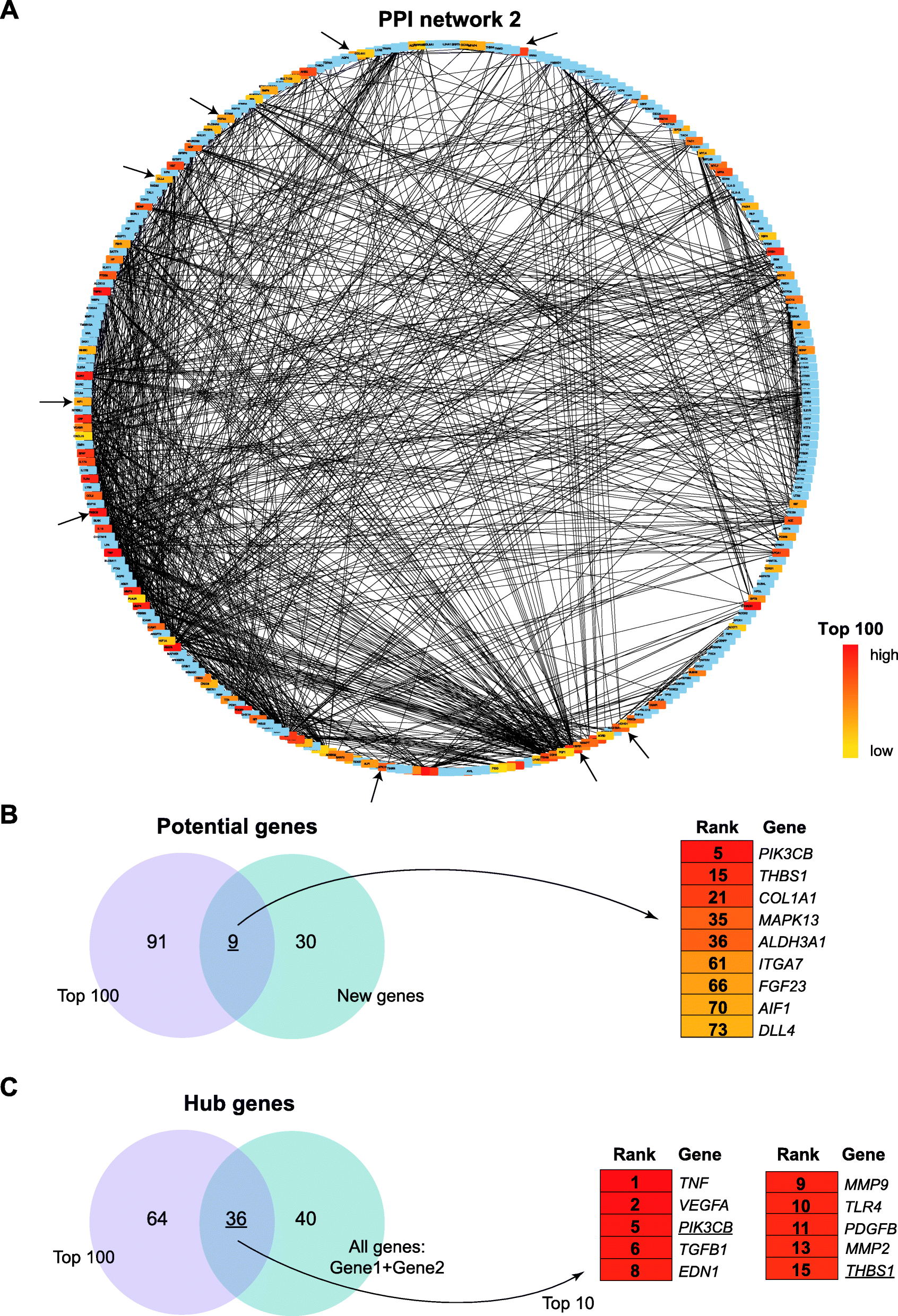 Fig. 5