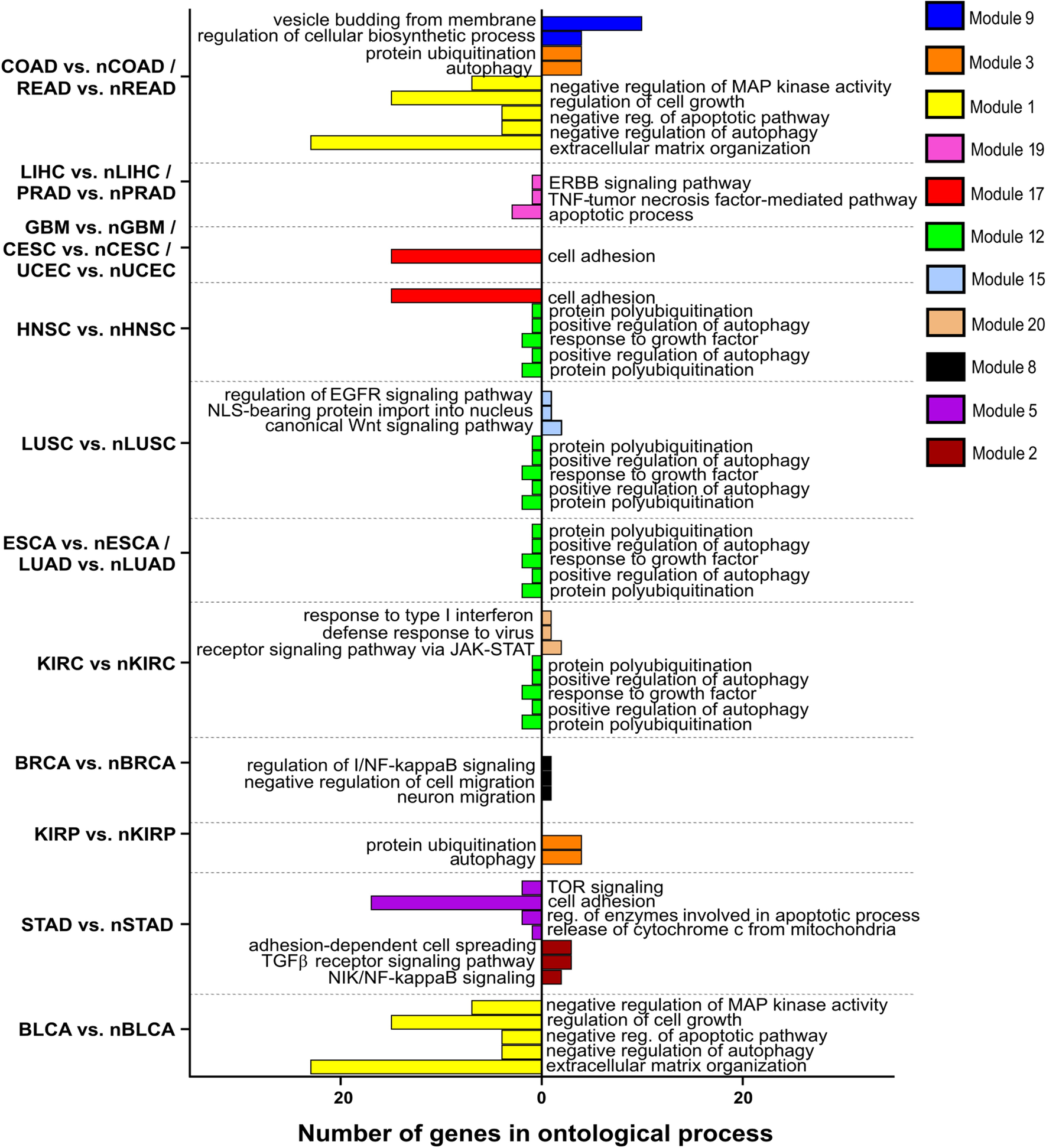 Fig. 9