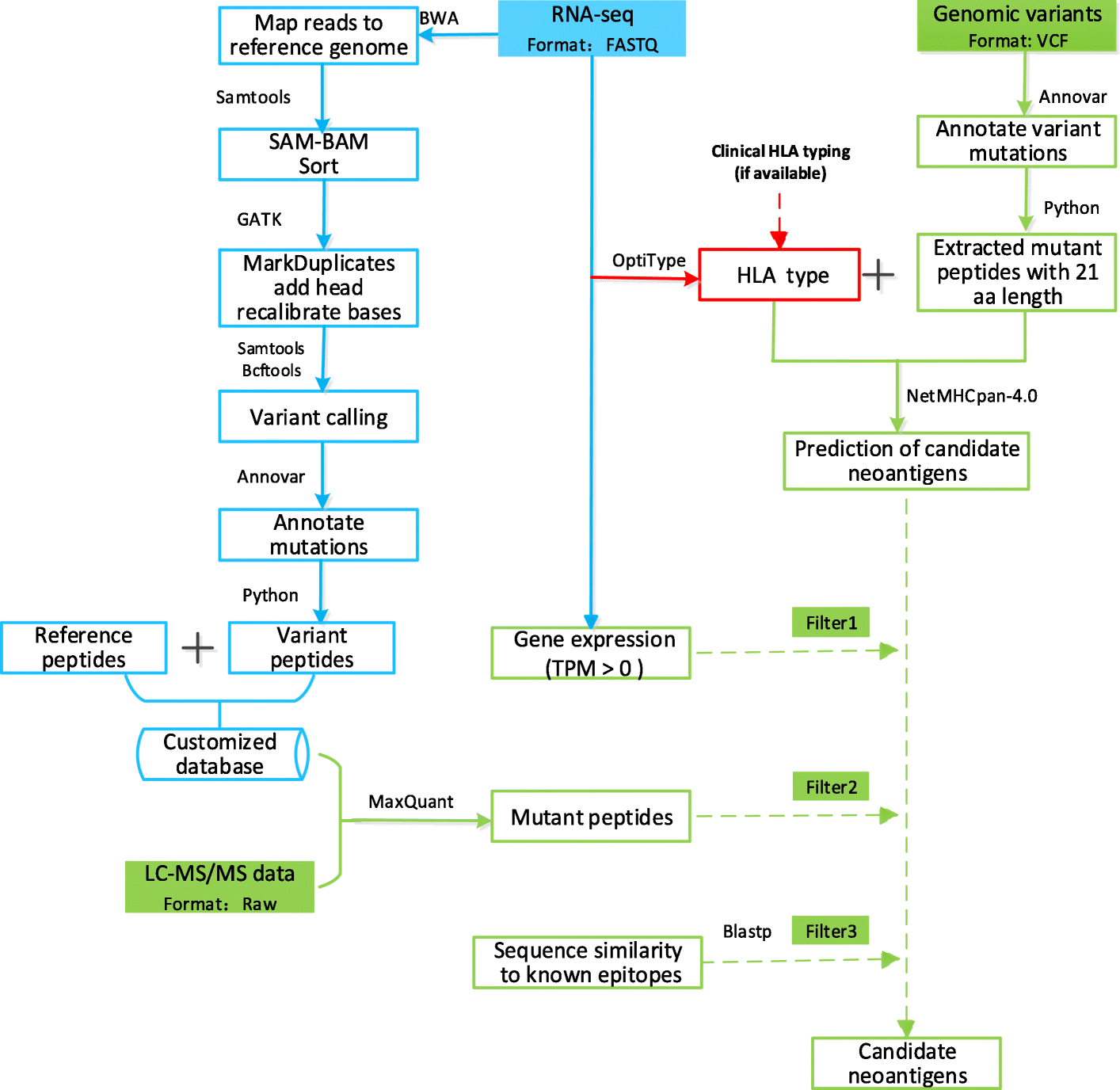 Fig. 1