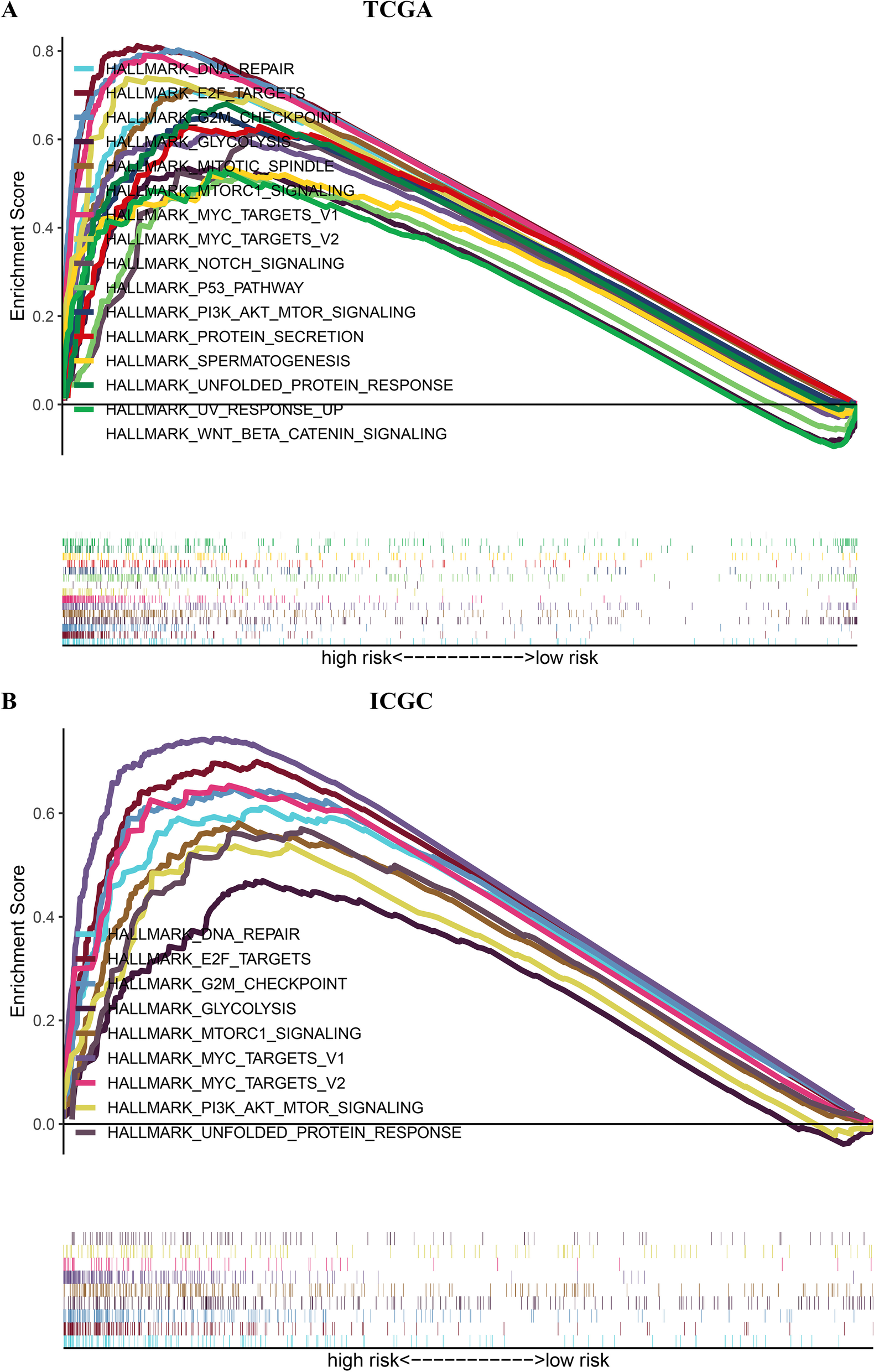 Fig. 10