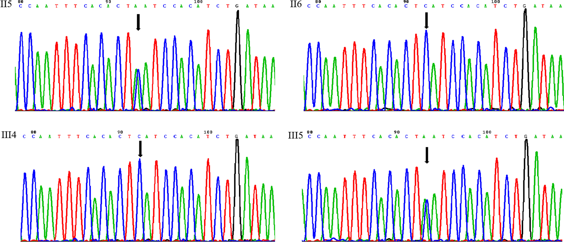 Fig. 4