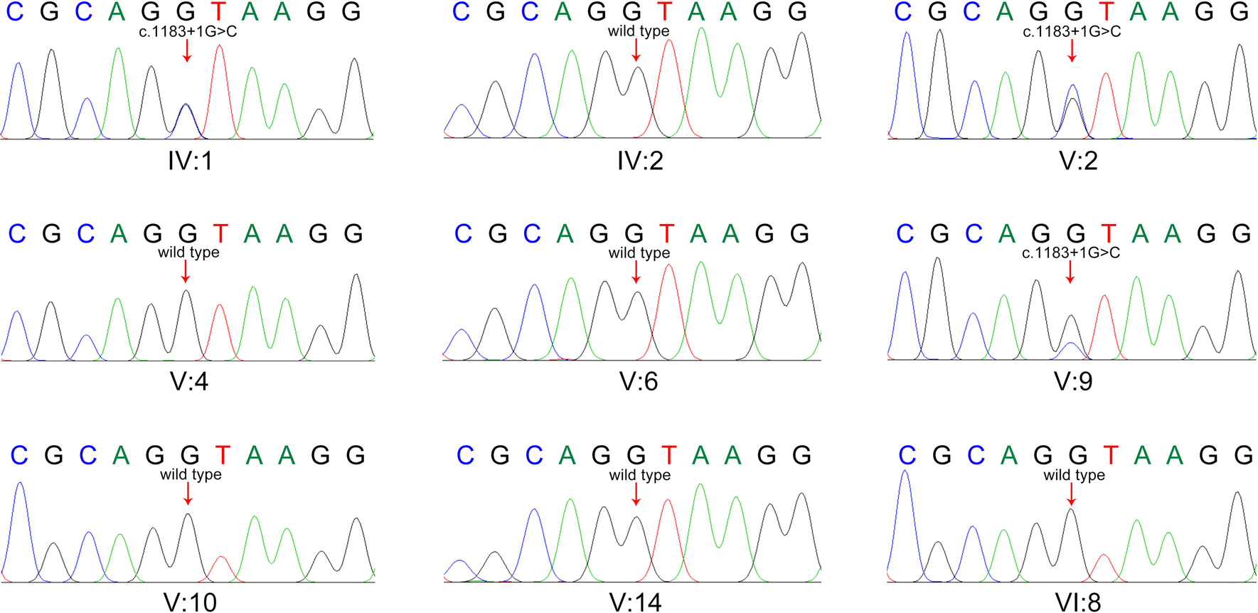 Fig. 3