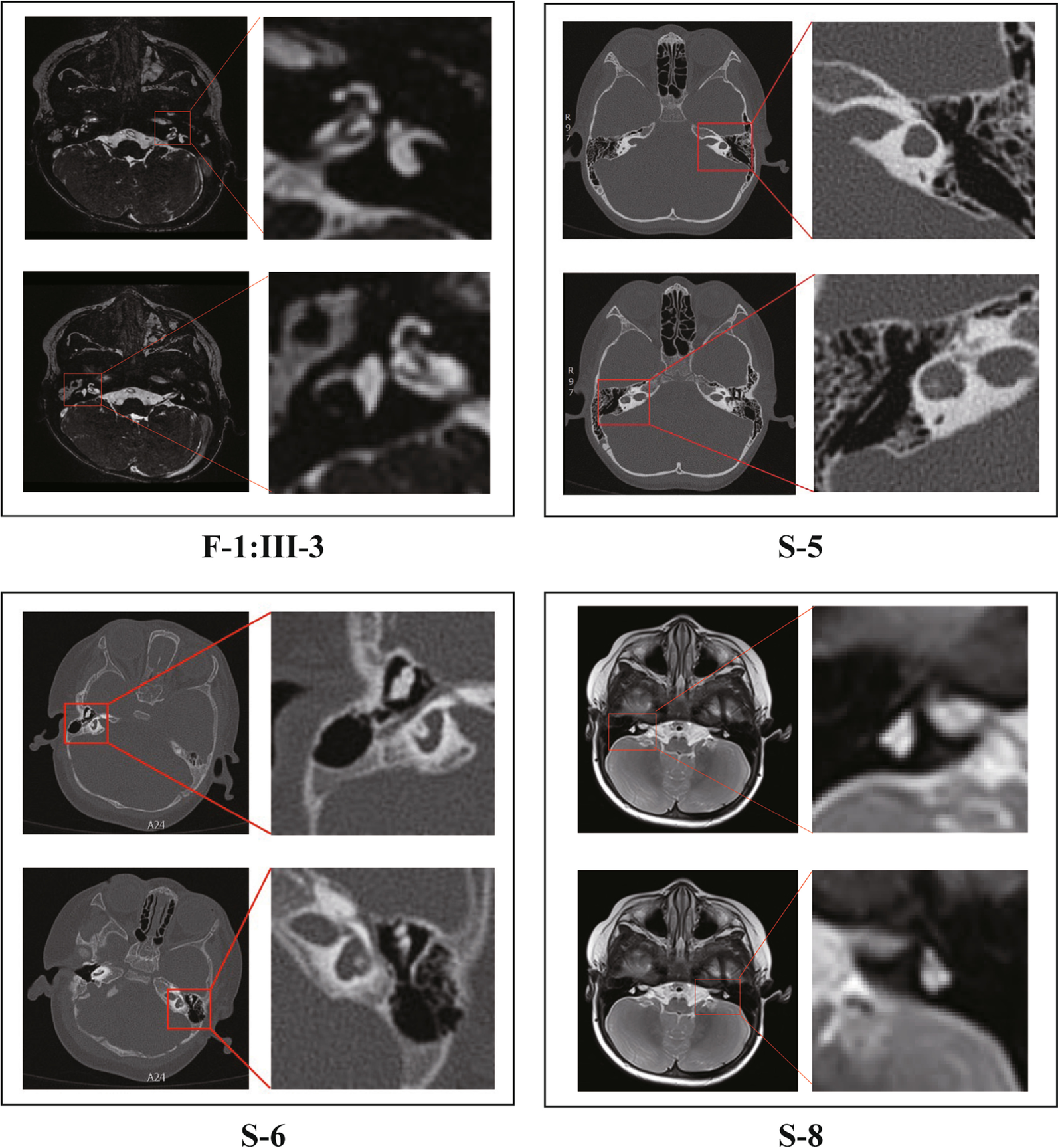 Fig. 5