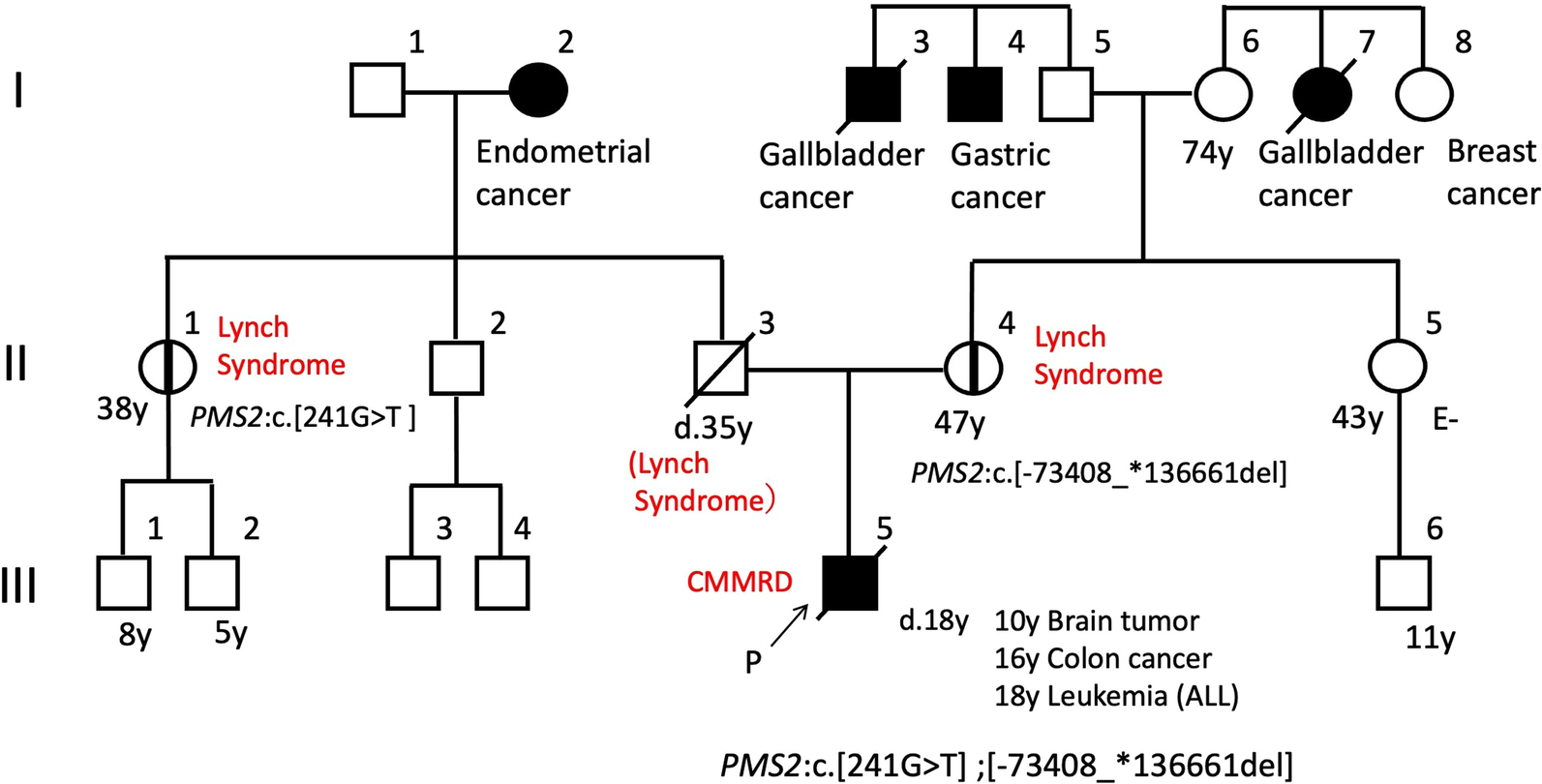 Fig. 6