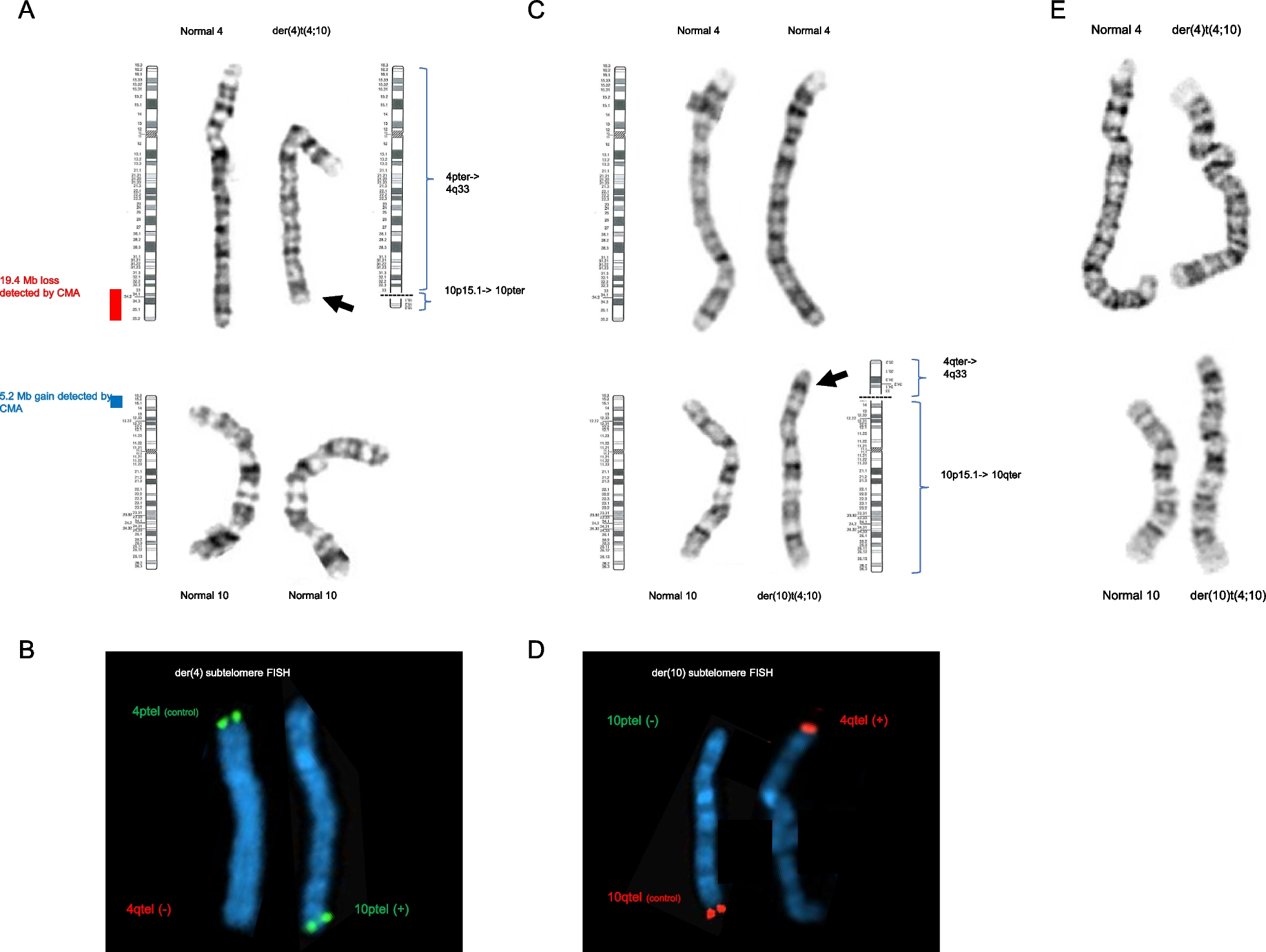 Fig. 2