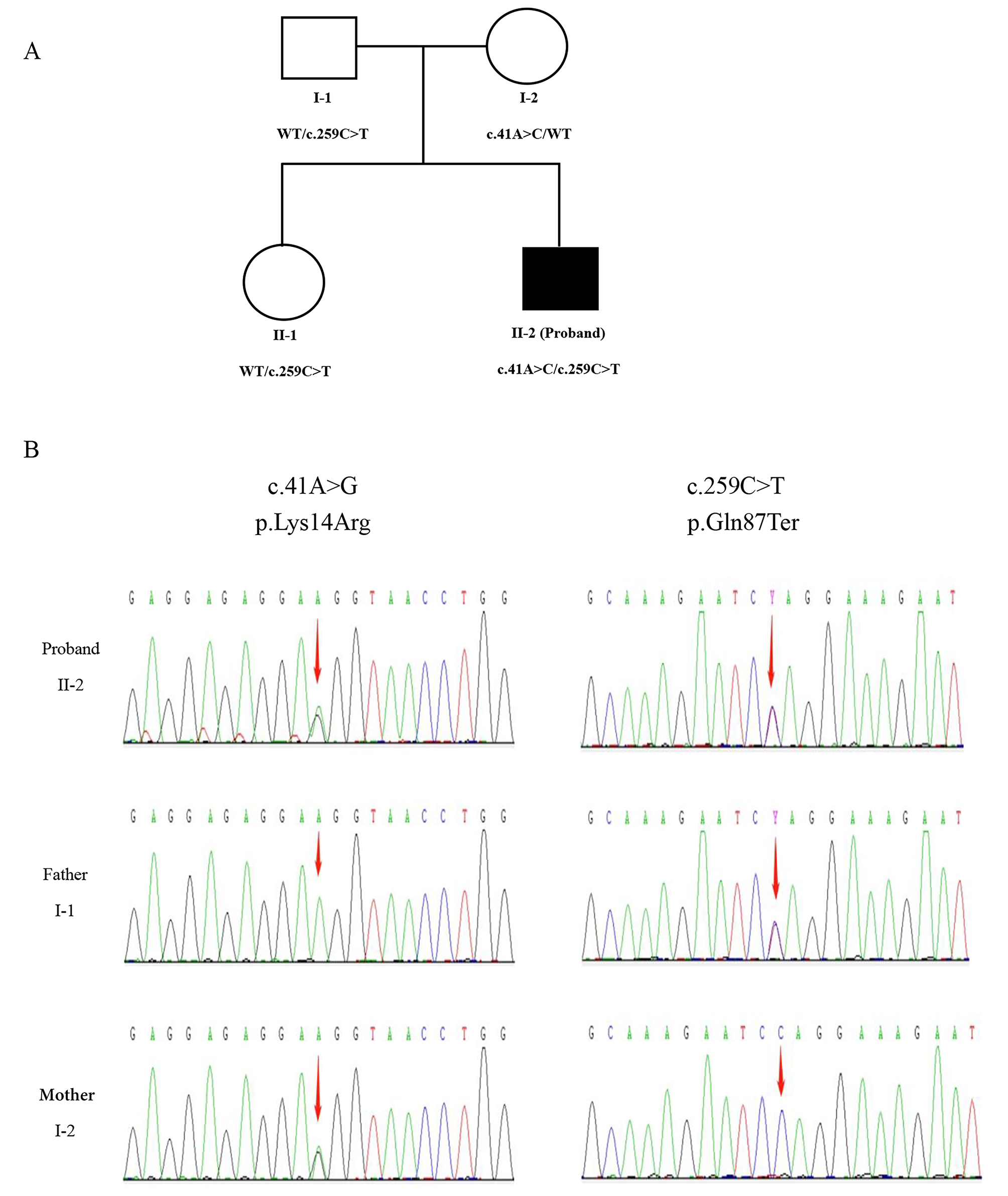 Fig. 1