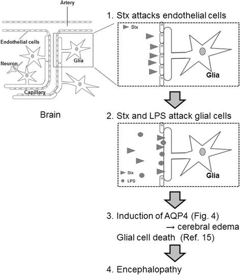 Fig. 6