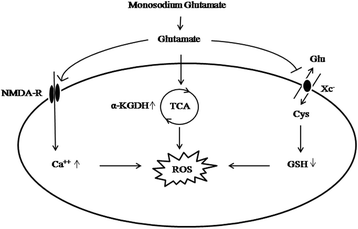 Fig. 2