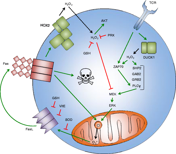 Fig. 2