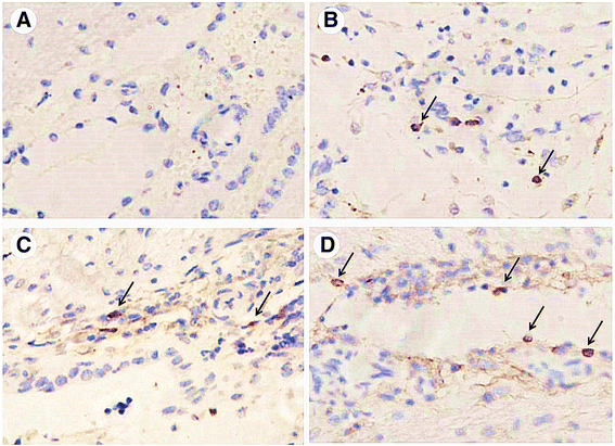 Fig. 10