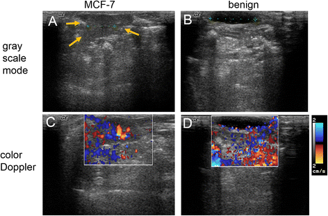 Fig. 9