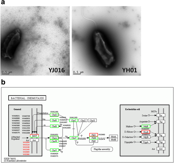 Fig. 5