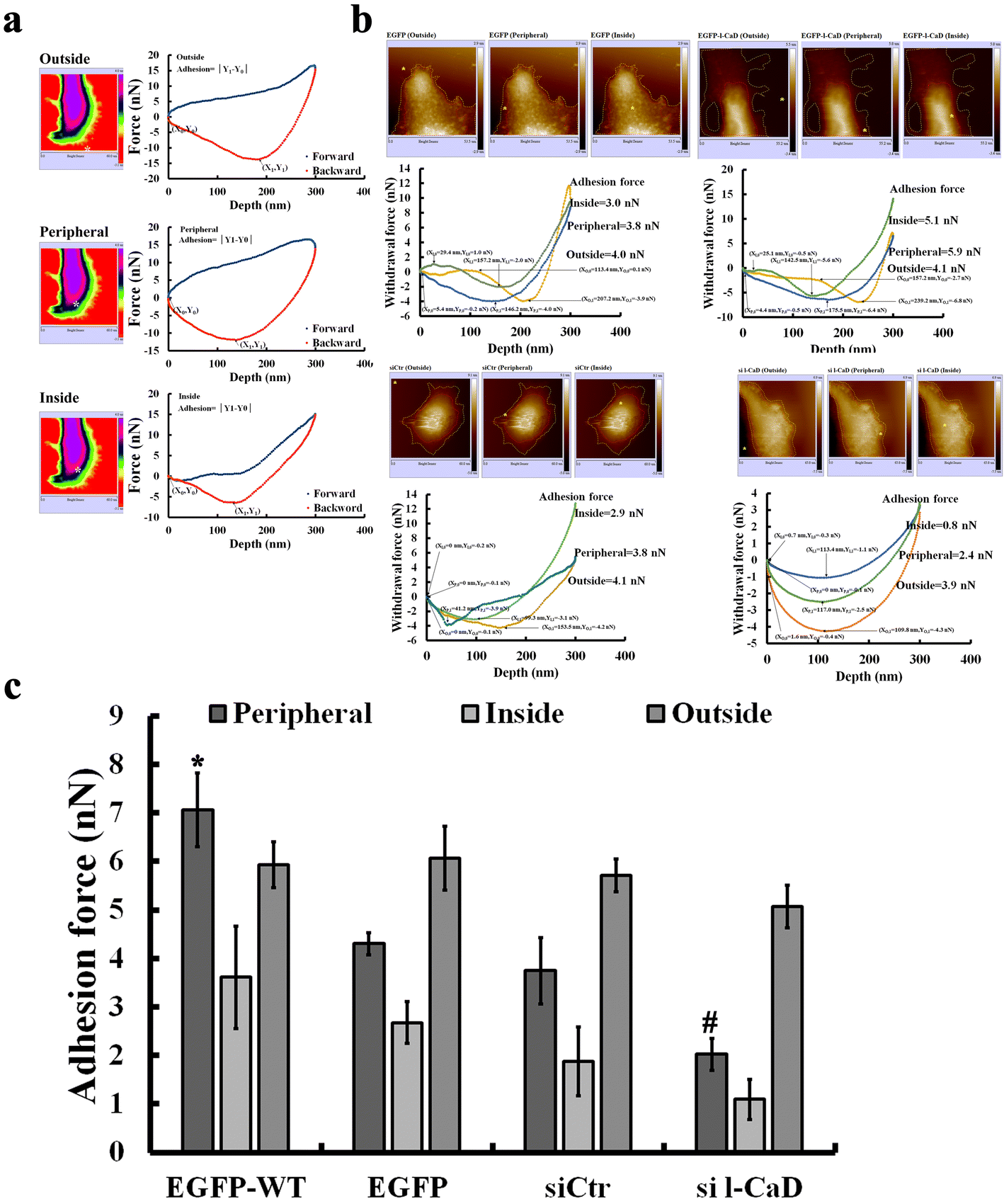 Fig. 6