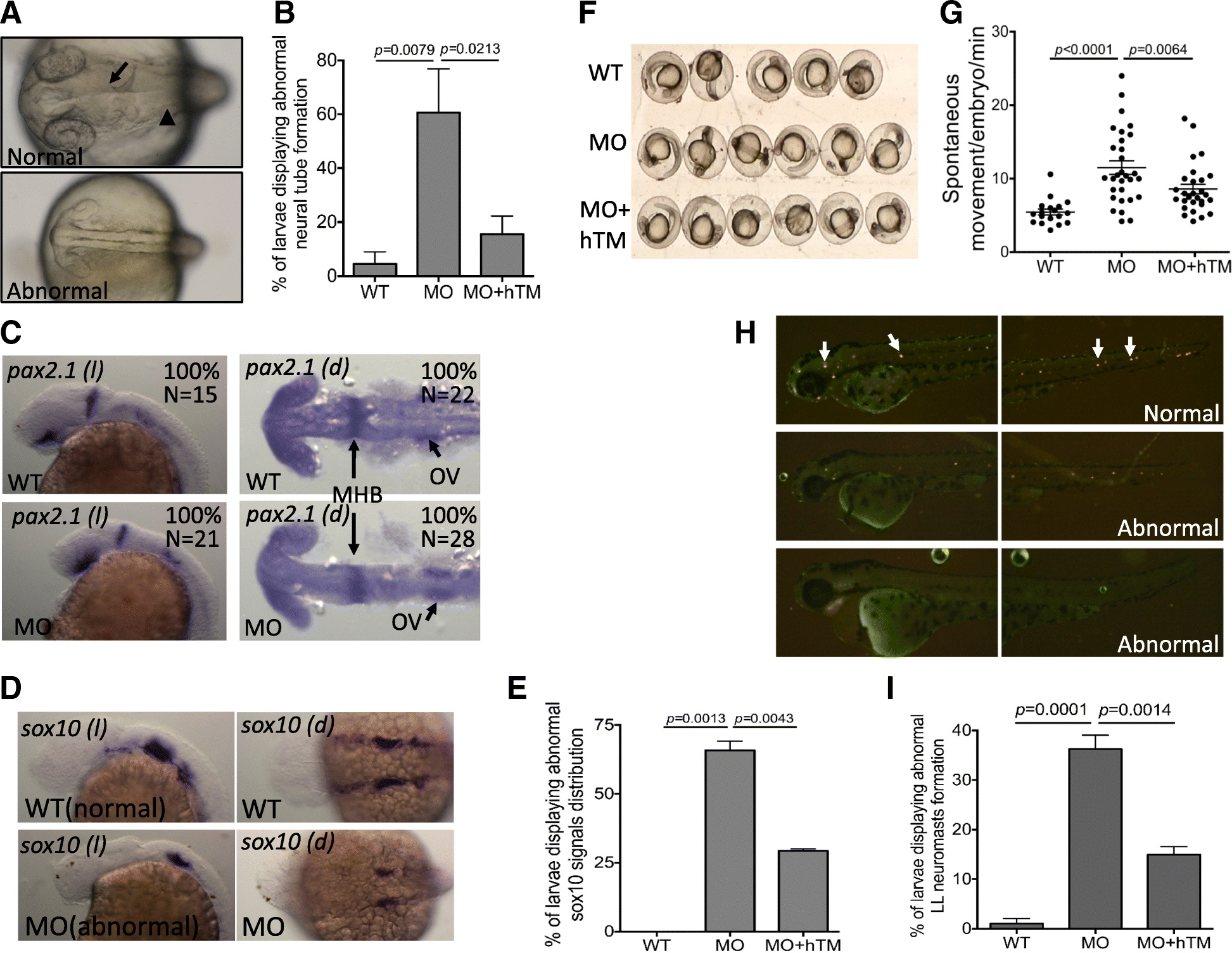 Fig. 6