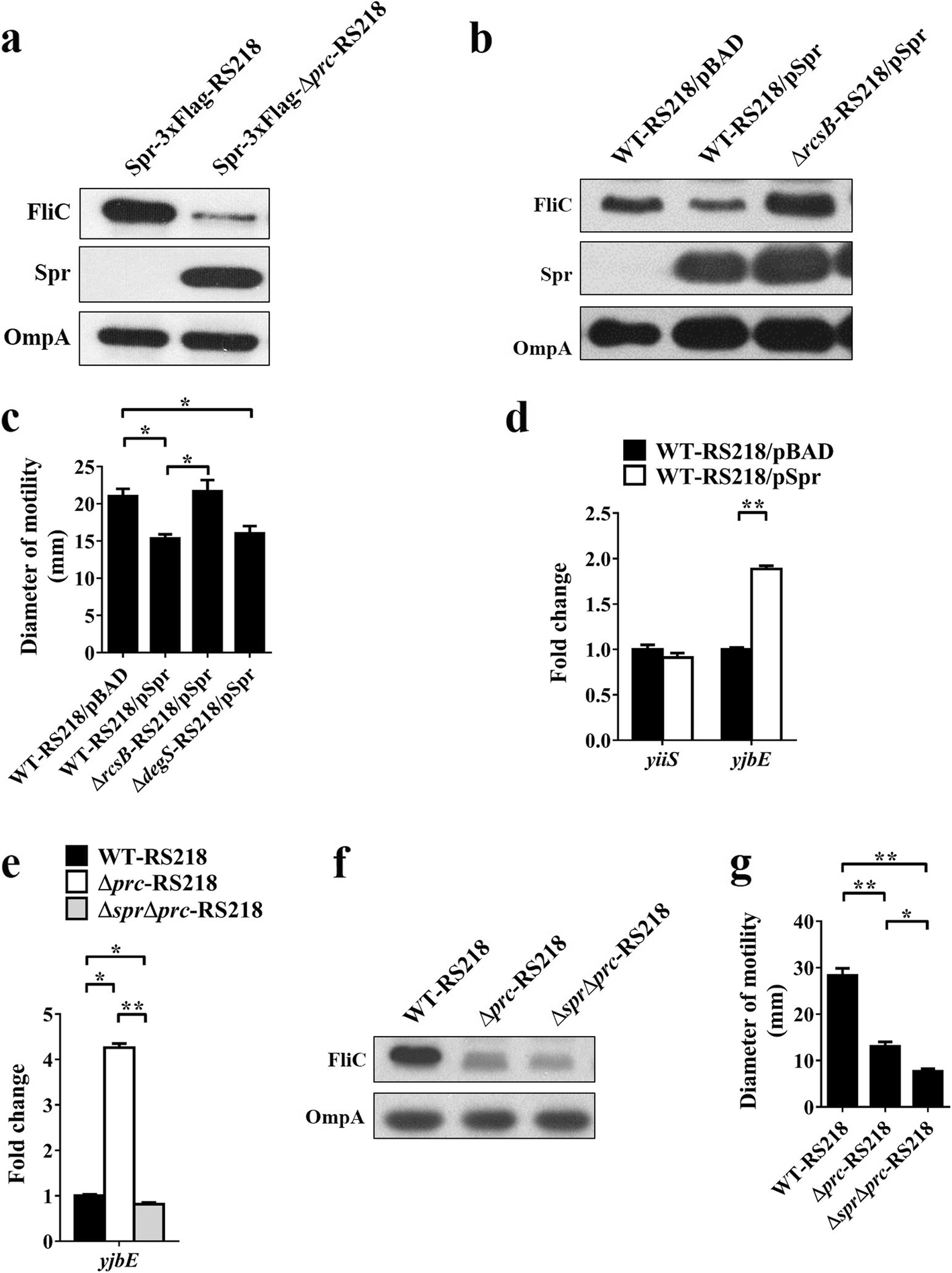 Fig. 13