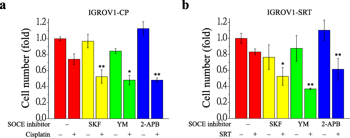 Fig. 10