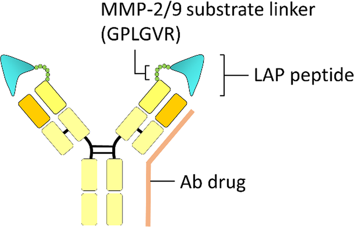 Fig. 4