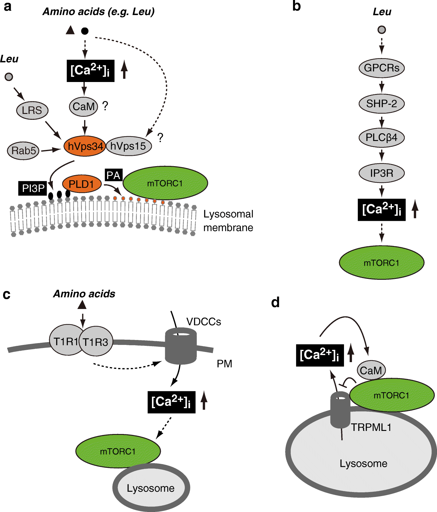 Fig. 4