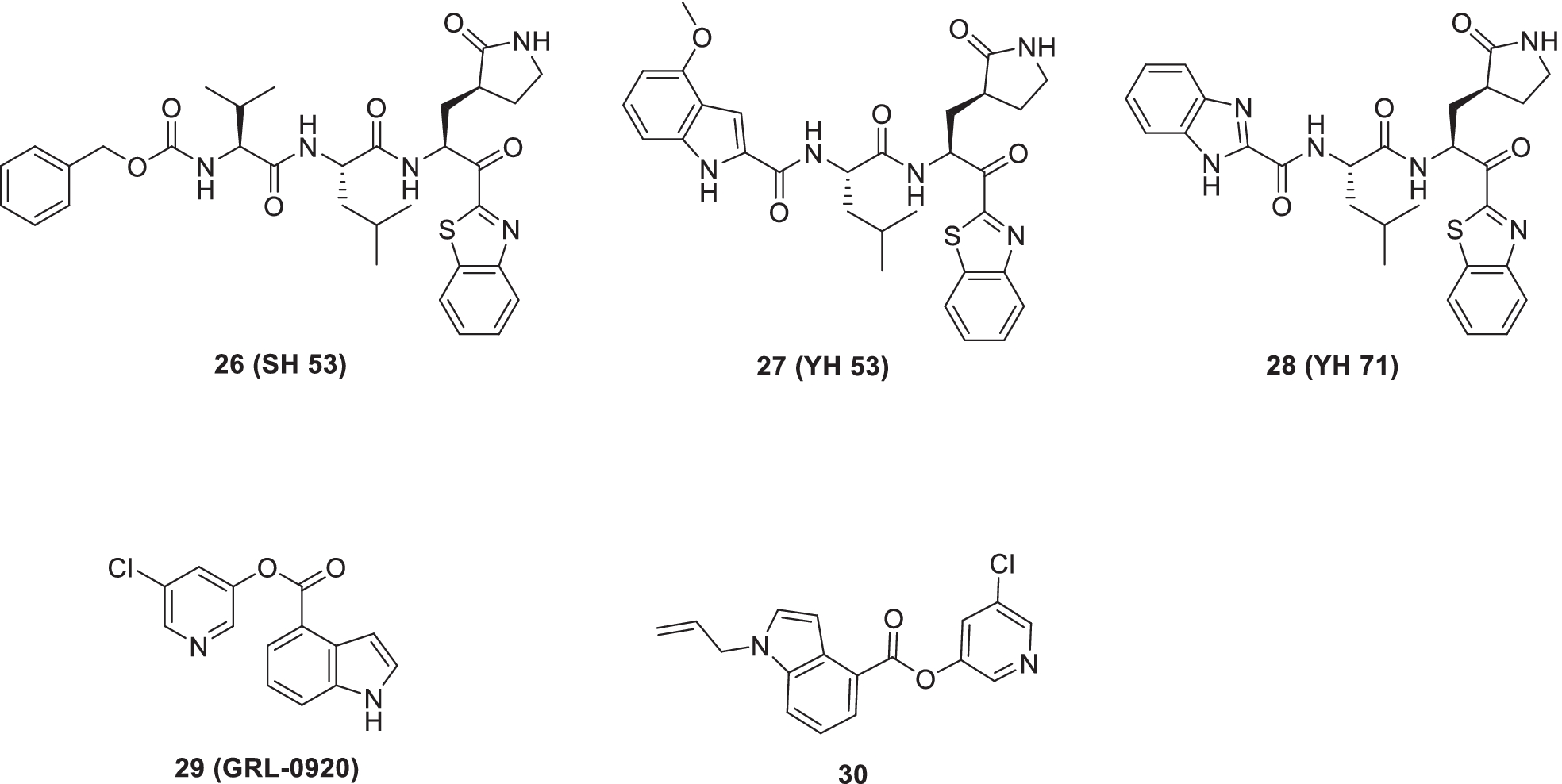 Fig. 10