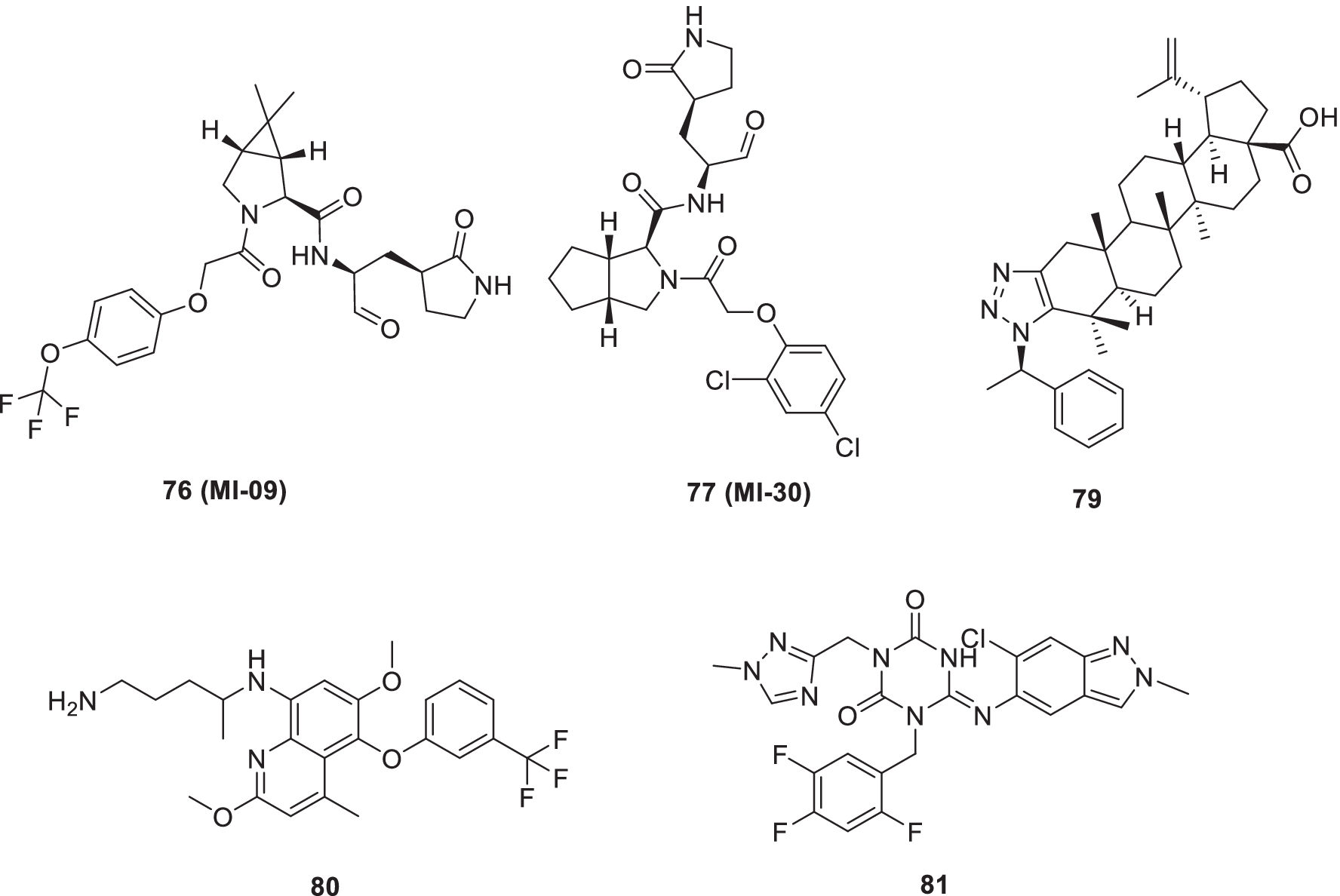 Fig. 20