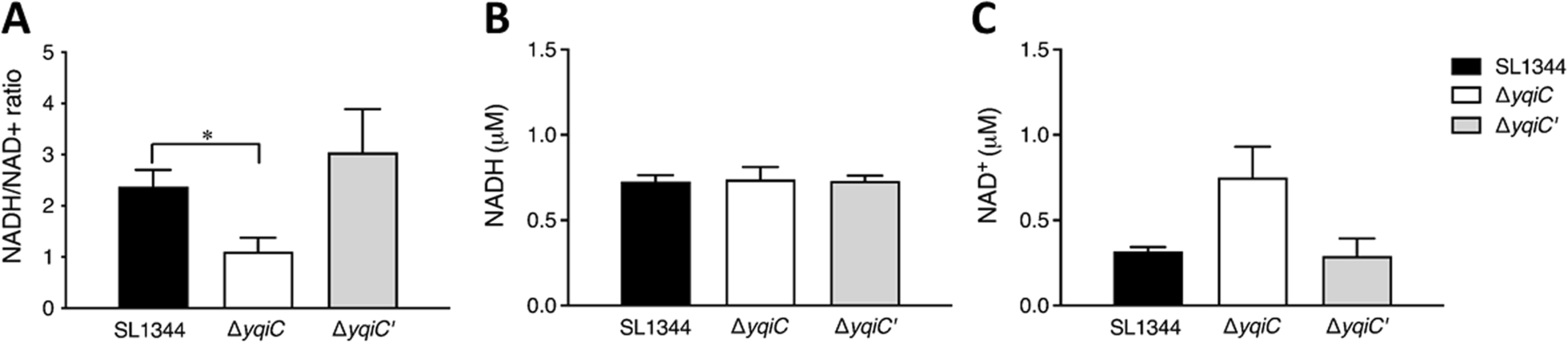 Fig. 10