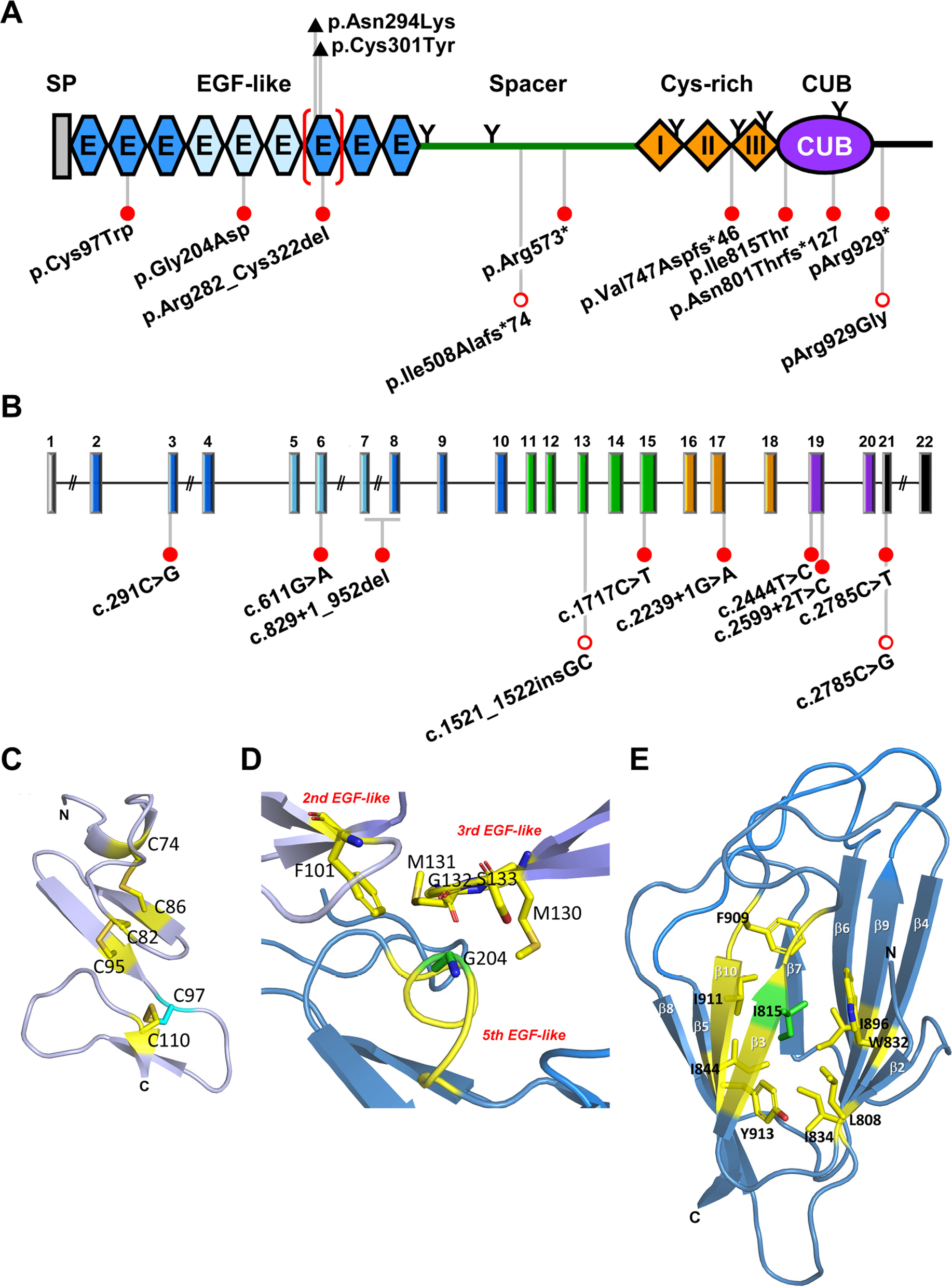 Fig. 10