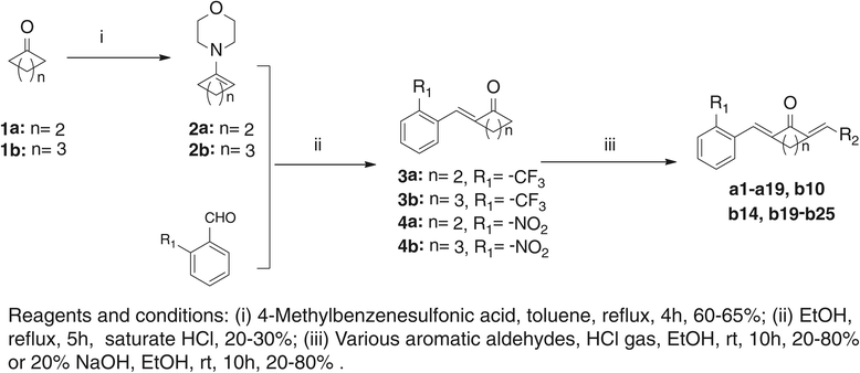 Scheme 1