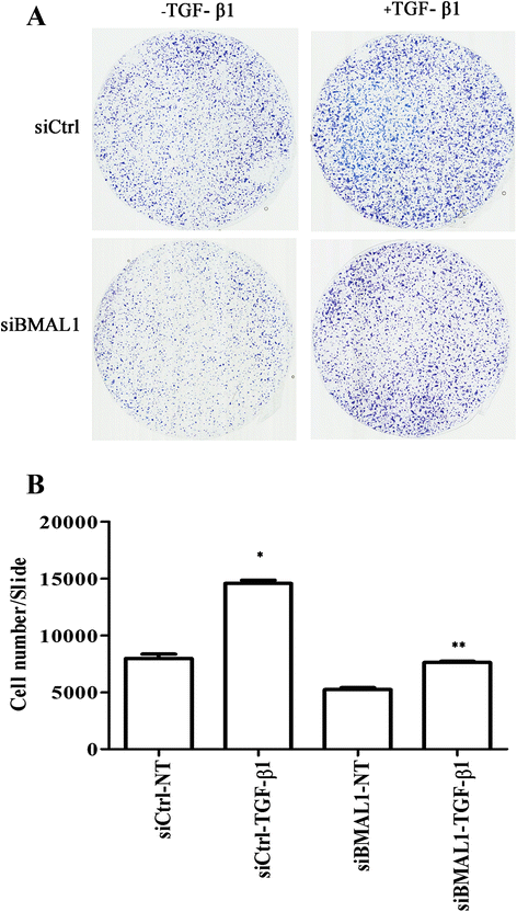 Fig. 8