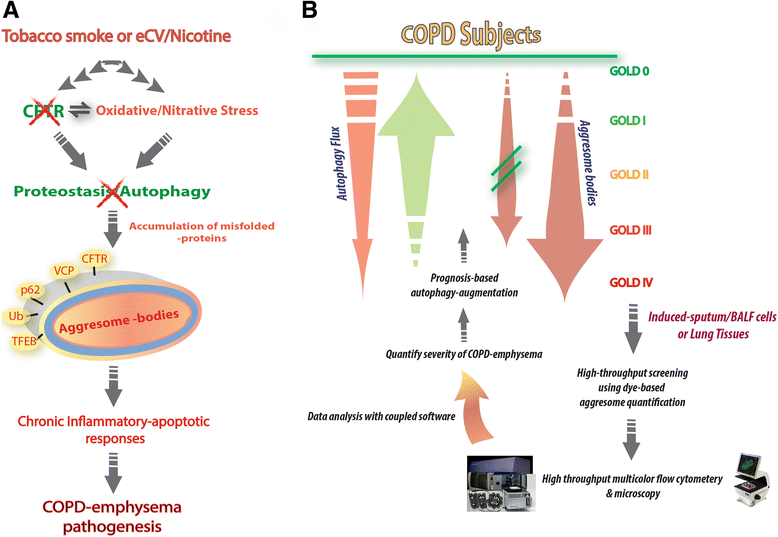 Augmenting Autophagy For Prognosis Based Intervention Of